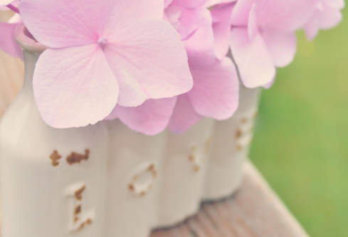 1686347297983276.png image.png