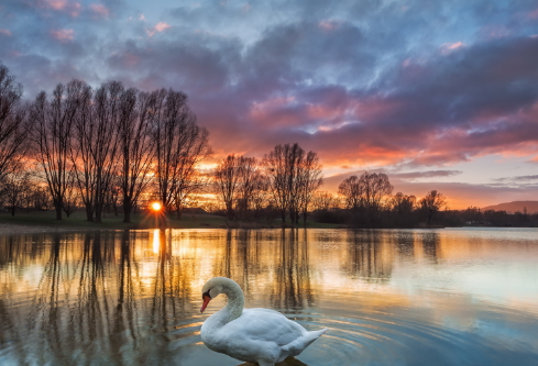 1686352752243732.png image.png