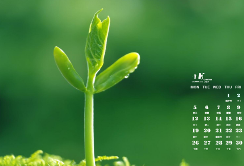 1686355893424465.png image.png