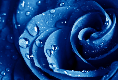 1686353579763814.png image.png