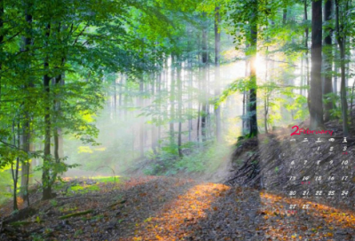 ​12.25圣诞温暖简短唯美的句子