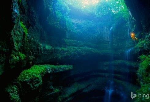 1686355399128226.png image.png