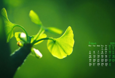 ​祝高考金榜题名的句子 高考成功祝福语(171句)