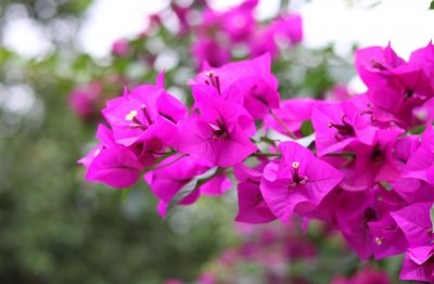 ​最好听的八个字网名