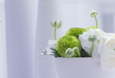 ​新年祝福老人的祝福语【热门69句】