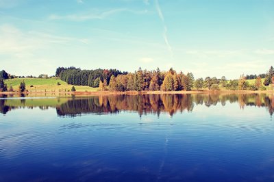 ​生活哲理谚语84句