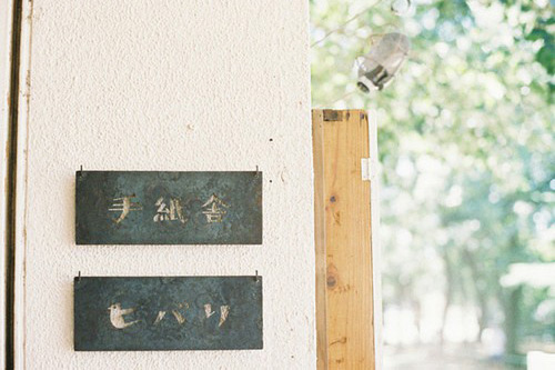 树叶的拟人句47句