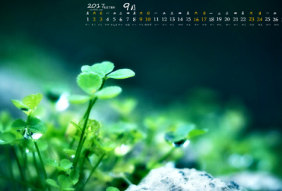 ​2023早上好祝福语优美句子