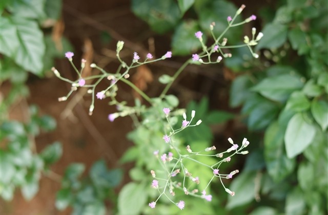 男生网名好听帅气阳光 男生网名好听帅气阳光