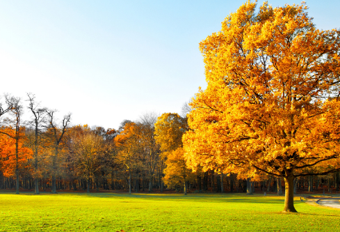 1686803620941535.png image.png