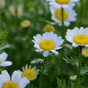 ​生活励志说说致自己短语 2024全网最火抖音励志签名