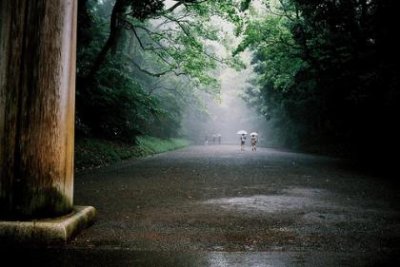 ​优美句子摘抄高中