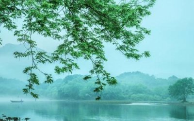 ​挫折中成长励志的句子 成长