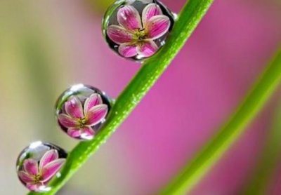 ​表示努力奋斗的句子