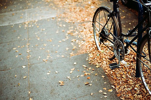 61对孩子的祝福语 儿童61祝福语(50句)