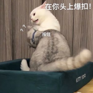 ​有人生哲理的句子简短  文案说说