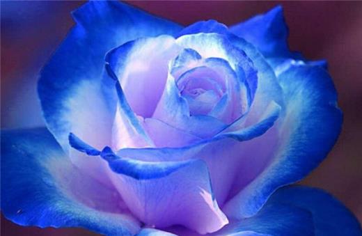 触碰到一个人的底线说说