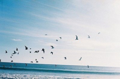 ​字生日祝福语大全集50句