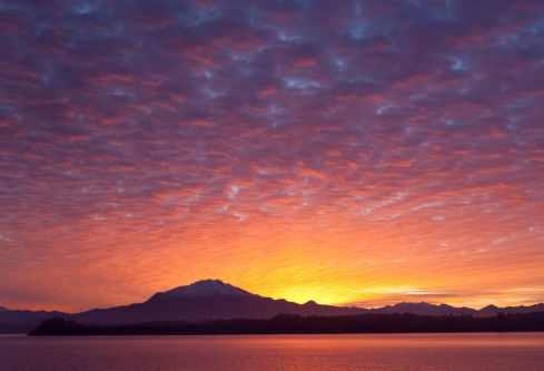 1689459749770139.png image.png