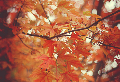 1689460080133299.png image.png