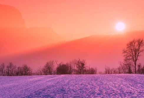 1689472508935941.png image.png