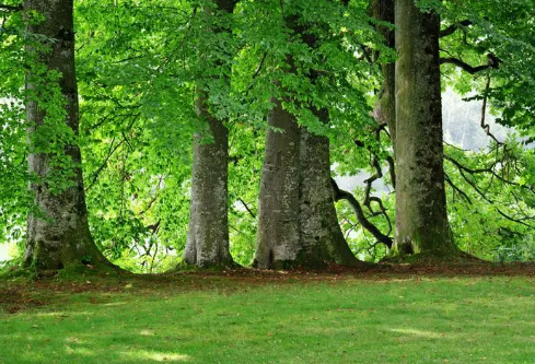 1687289997351139.png image.png