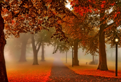 1689516563117769.png image.png