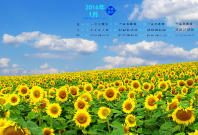 ​赞美女人的诗句古诗词（夸女人的美言佳句）