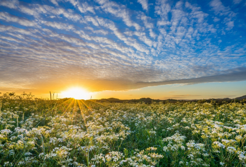 1687298990122042.png image.png