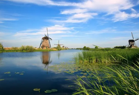 1687011751191706.png image.png