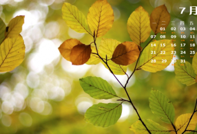 ​袁枚的诗句欣赏 推窗袁枚想表达什么