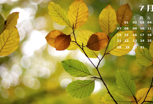 1689526216443356.png image.png