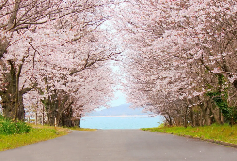 1687002132101985.png image.png