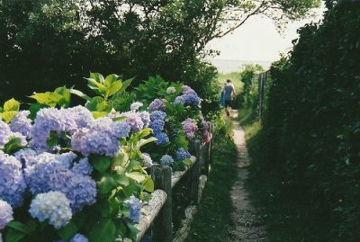 ​女儿4岁生日祝福语33句