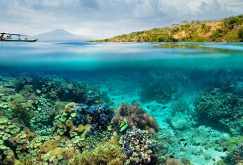 1688679258853578.png image.png