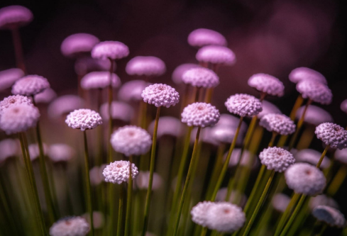 1689443510131410.png image.png