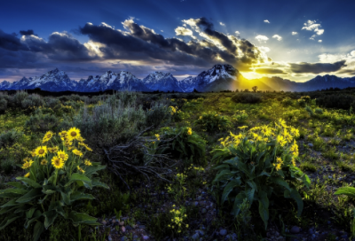 ​霸气嚣张的口号83句