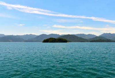 ​职业道德宣传标语