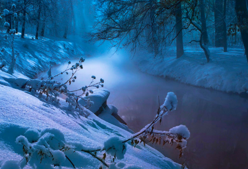 1688671774936801.png image.png