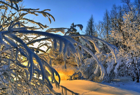 1688671608105307.png image.png