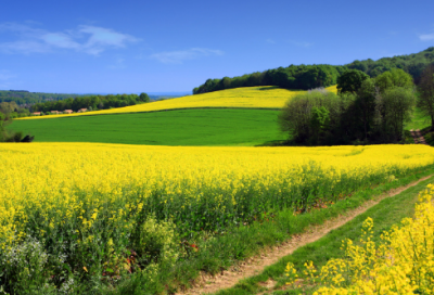 ​西湖诗句大全优美（杭州西湖夜景诗句赞美）