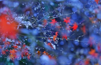 精选的成功的名言警句大全