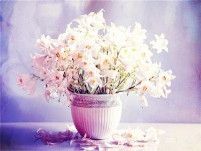 ​描写风景如画的诗句 景色