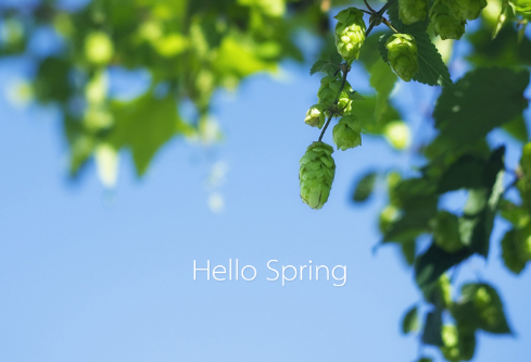 1687011580146265.png image.png