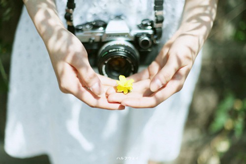 2024年正月初十祝福语25句