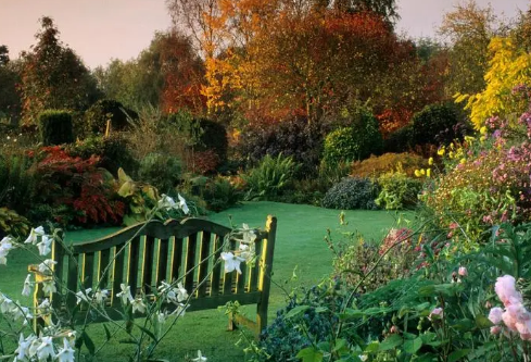 1688683913995798.png image.png