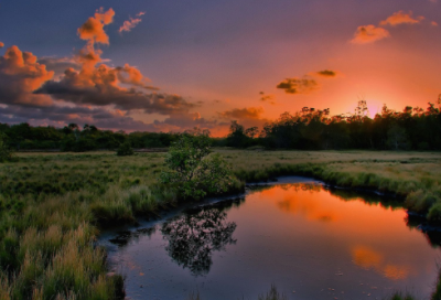 ​一年级班级口号大全