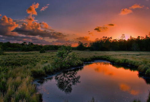 1688682583481654.png image.png