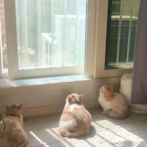 ​新的一天正能量句子