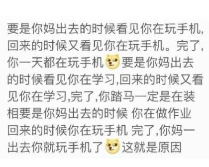 春天的诗句四年级